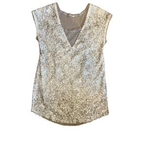 Free People Midnight Dreamer Sequin dress size medium